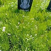 Шашлова Людмила Николаевна