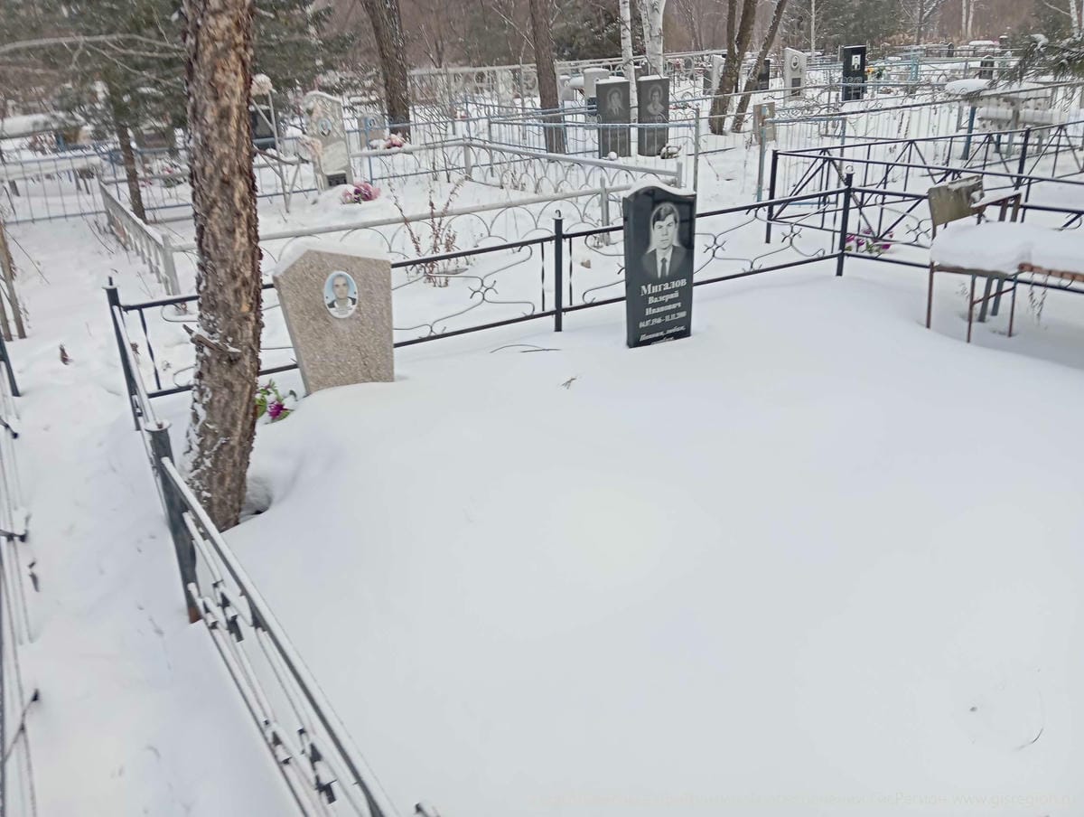 11ea15dc-ade5-4c11-a782-379d31966140 Мигалов Валерий Иванович