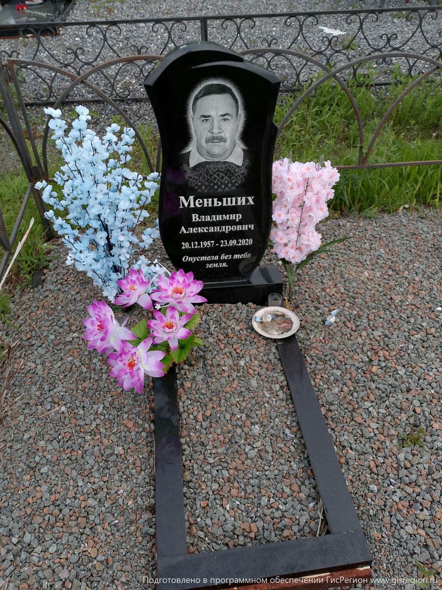 11f60ad8-368d-4316-854e-72fc04a2209f Меньших Владимир Александрович