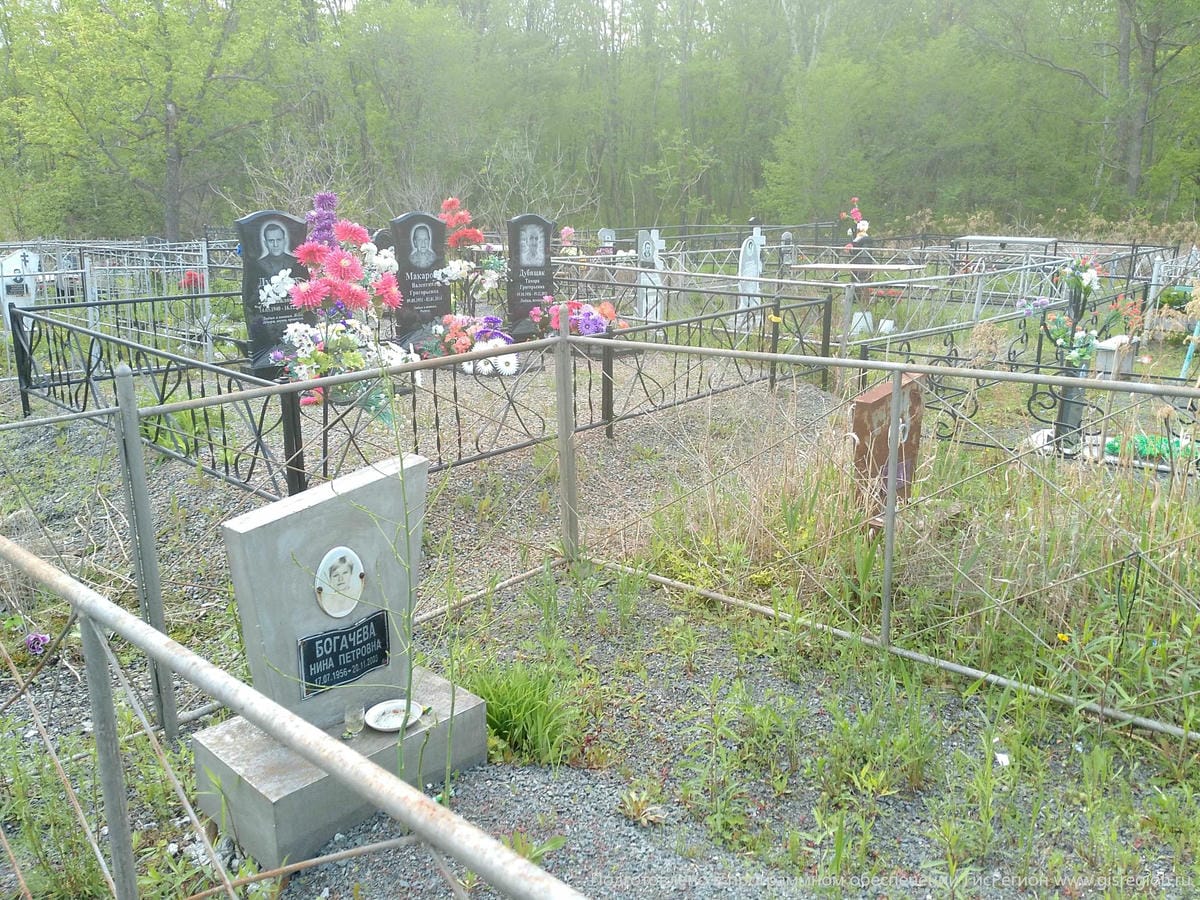 12118447-7dd3-4b7f-bf4d-9ad2b498b5e5 Богачева Нина Петровна