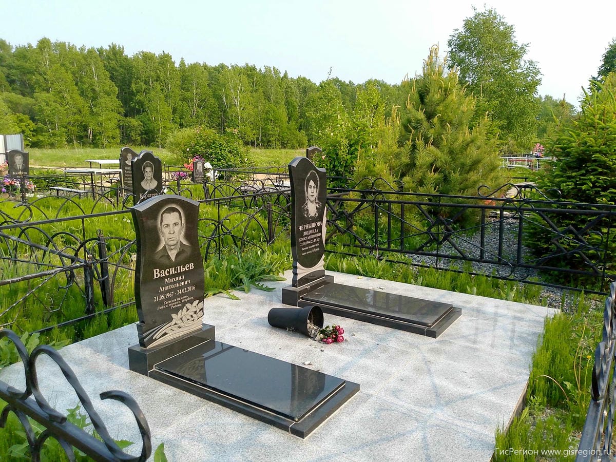 12cb8d7d-ddb8-480e-a50b-c02d7bd691b0 Васильев Михаил Анатольевич