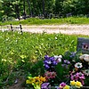 Резаева Екатерина Григорьевна