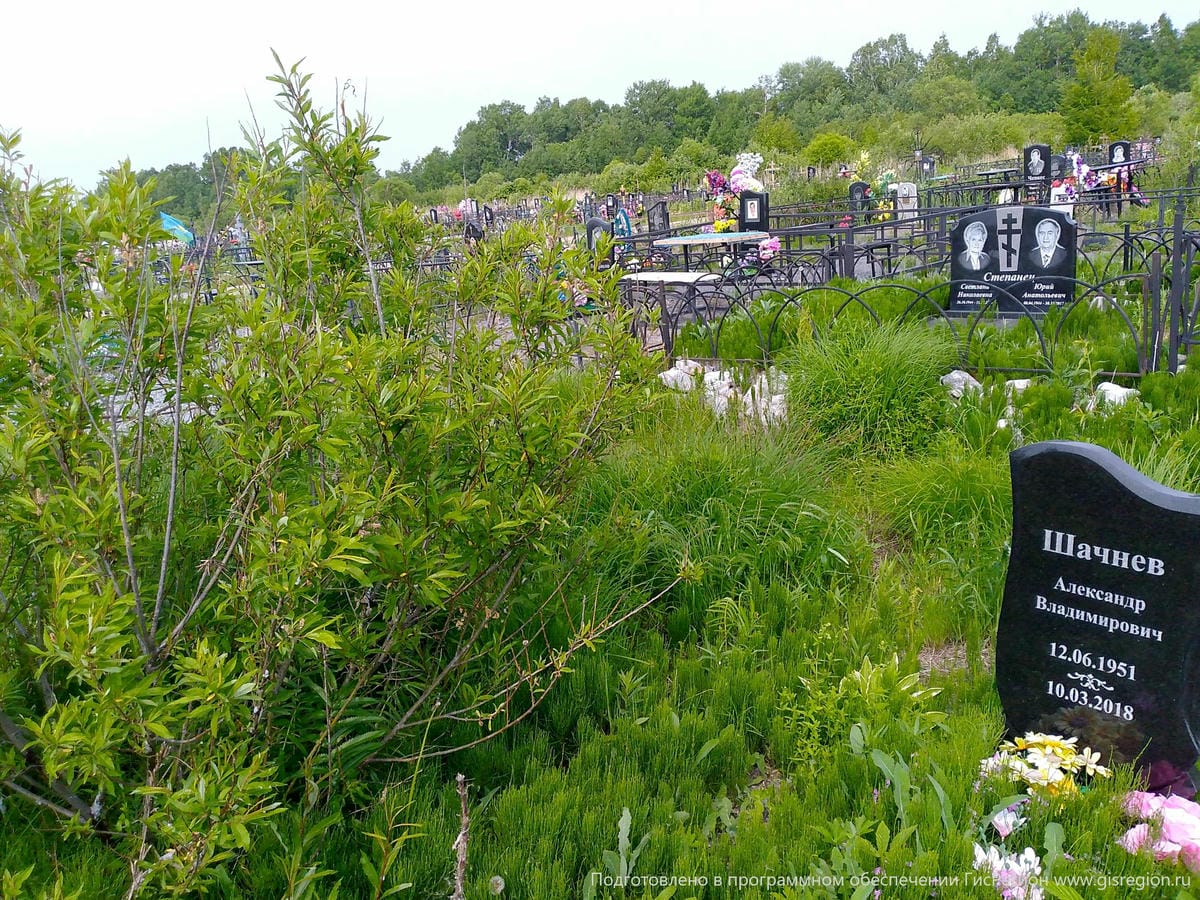 Шачнев Александр Владимирович