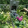 Горбач Анатолий Андреевич