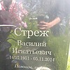 Стреж Василий Игнатьевич