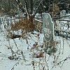 Ковальчук Евгений Георгиевич