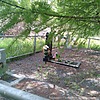 Пилипчук Просковья Николаевна