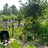 Вержесинская Лариса Георгиевна