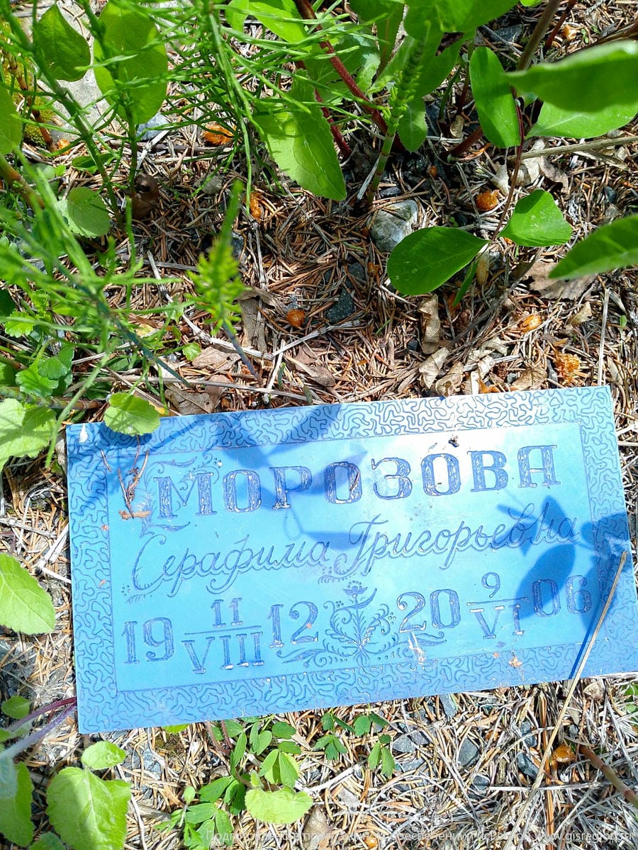 Морозова Серафима Григорьевна