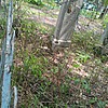 Семерня Алексей Семенович