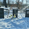 Типикина Светлана Александровна