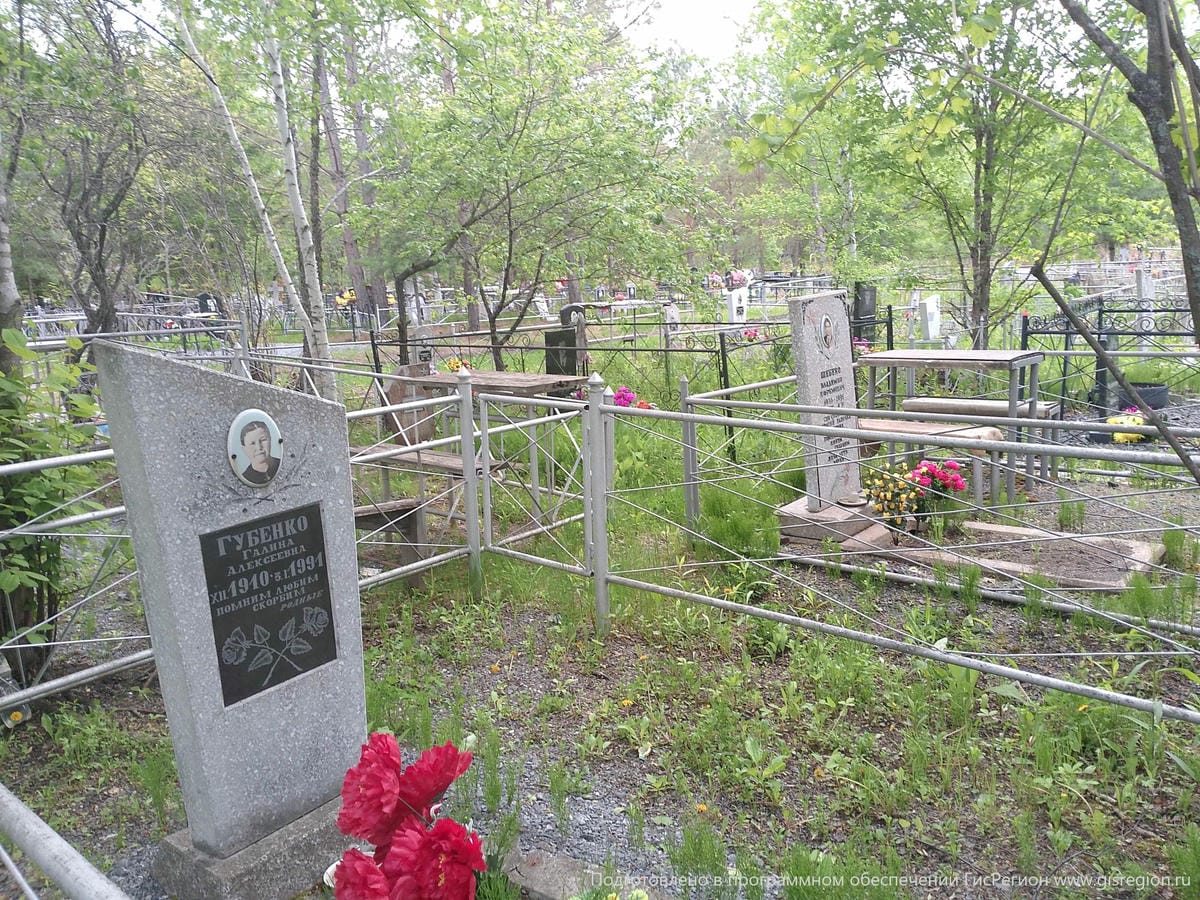 1626608a-ac99-40ec-8477-56f4e45bfc43 Губенко Галина Алексевна