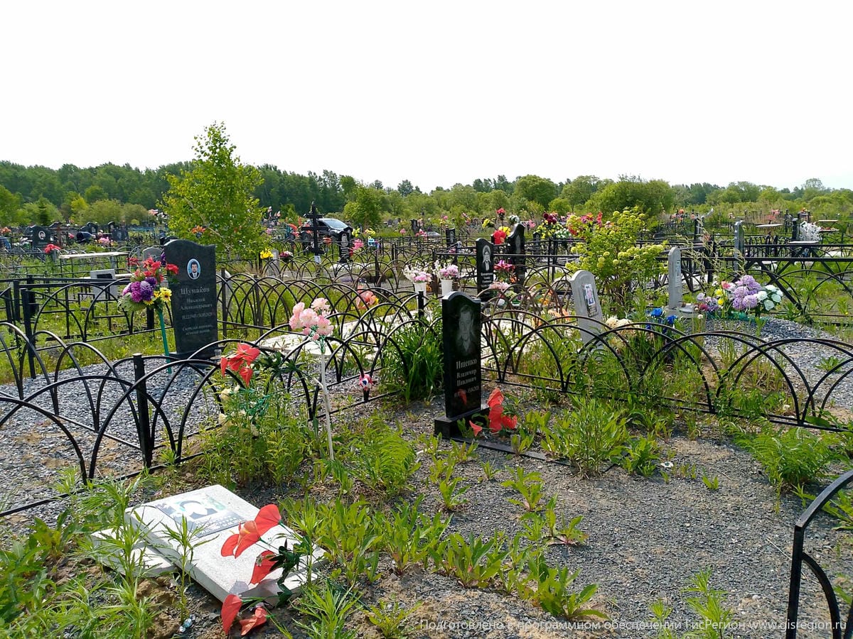 16a0d3b5-5dcc-4db6-b4a5-76e377d3d759 Ищенко Валентина Николаевна