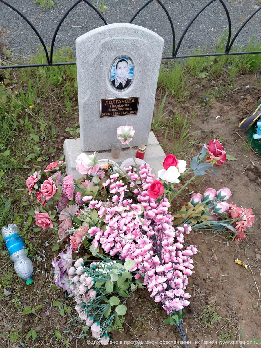 16abeab2-0d3e-445a-b4f5-b4e898503ee2 Долганова Людмила Николаевна