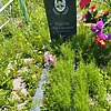Измайлова Ольга Александровна