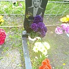 Медведев Алексей Петрович