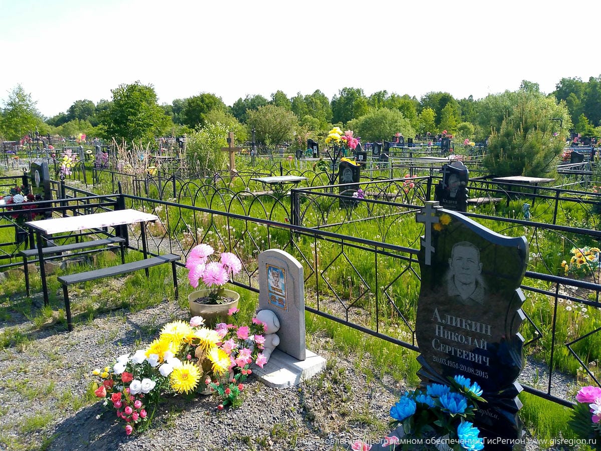 Аликин Николай Сергеевич