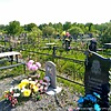 Черных Полина Константиновна