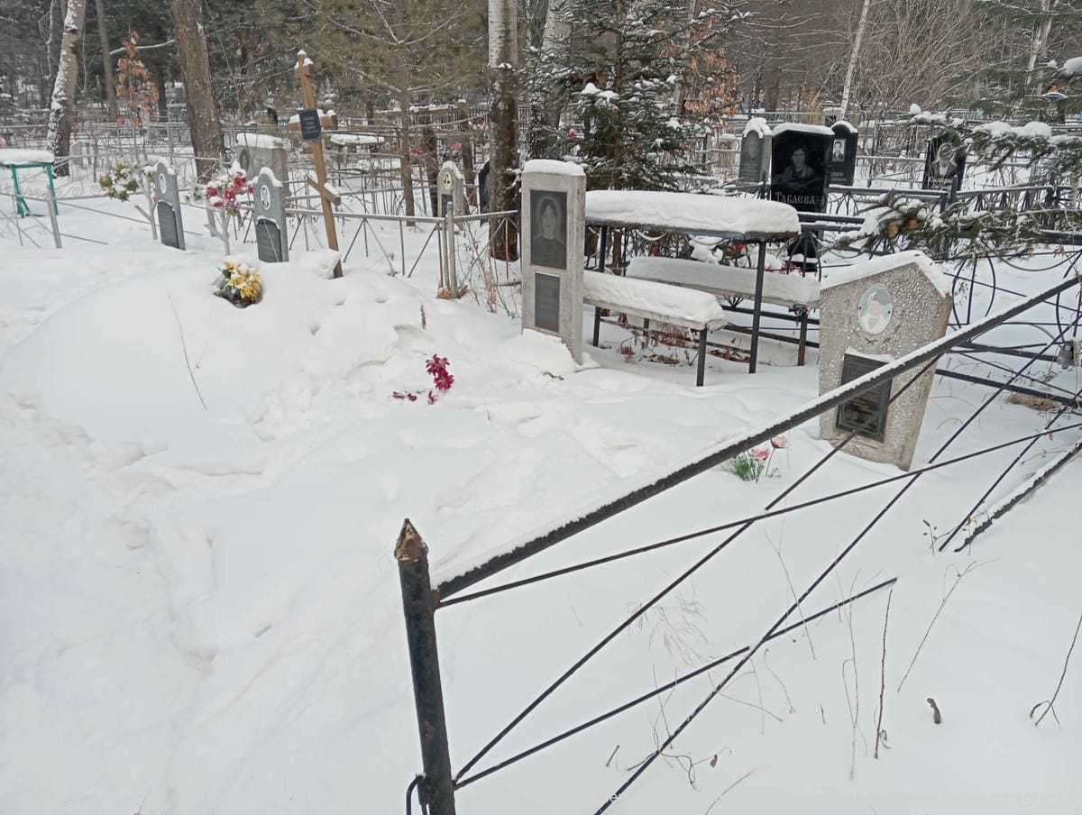 19284eab-6b98-4ad8-8d60-5a497e95c93b Бридня Светлана Петровна