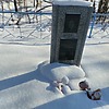 Тихонова Евгения Арсентьевна