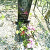 Комков Андрей Алексеевич