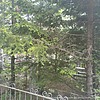 Лашов Николай Александрович