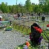 Конюшко Эльмира Вагифовна