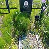 Лихоронин Константин Николаевич