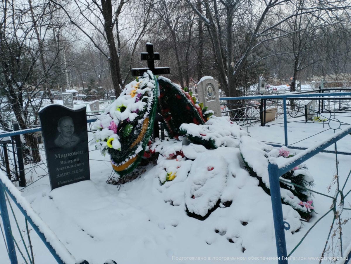 1b4e85e3-04b8-497d-a768-074f938fd461 Дмитриева Светлага Николаевна