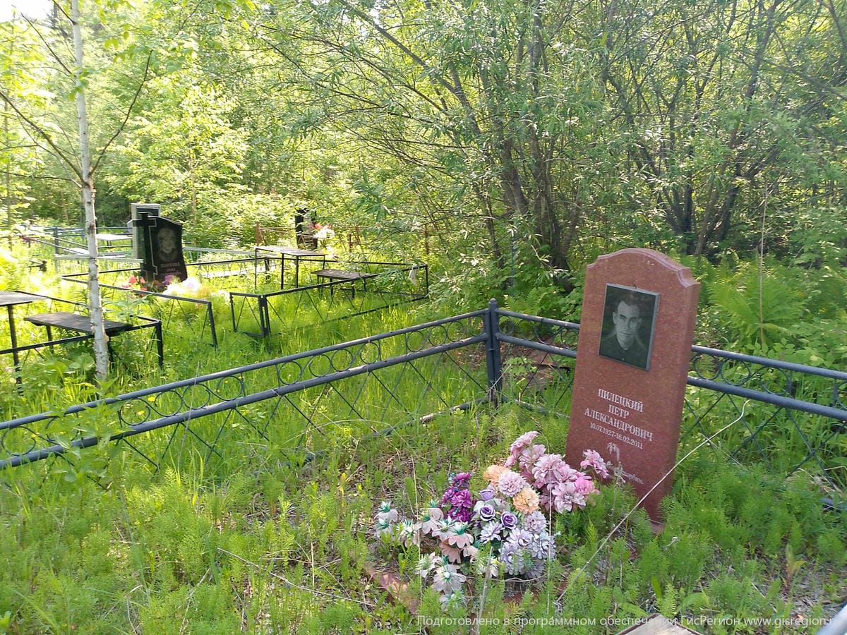 1bbd8aba-d6c0-4683-93a7-109e6a6a6322 Пилецкий Петр Александрович