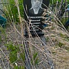 Коваленко Николай Иванович
