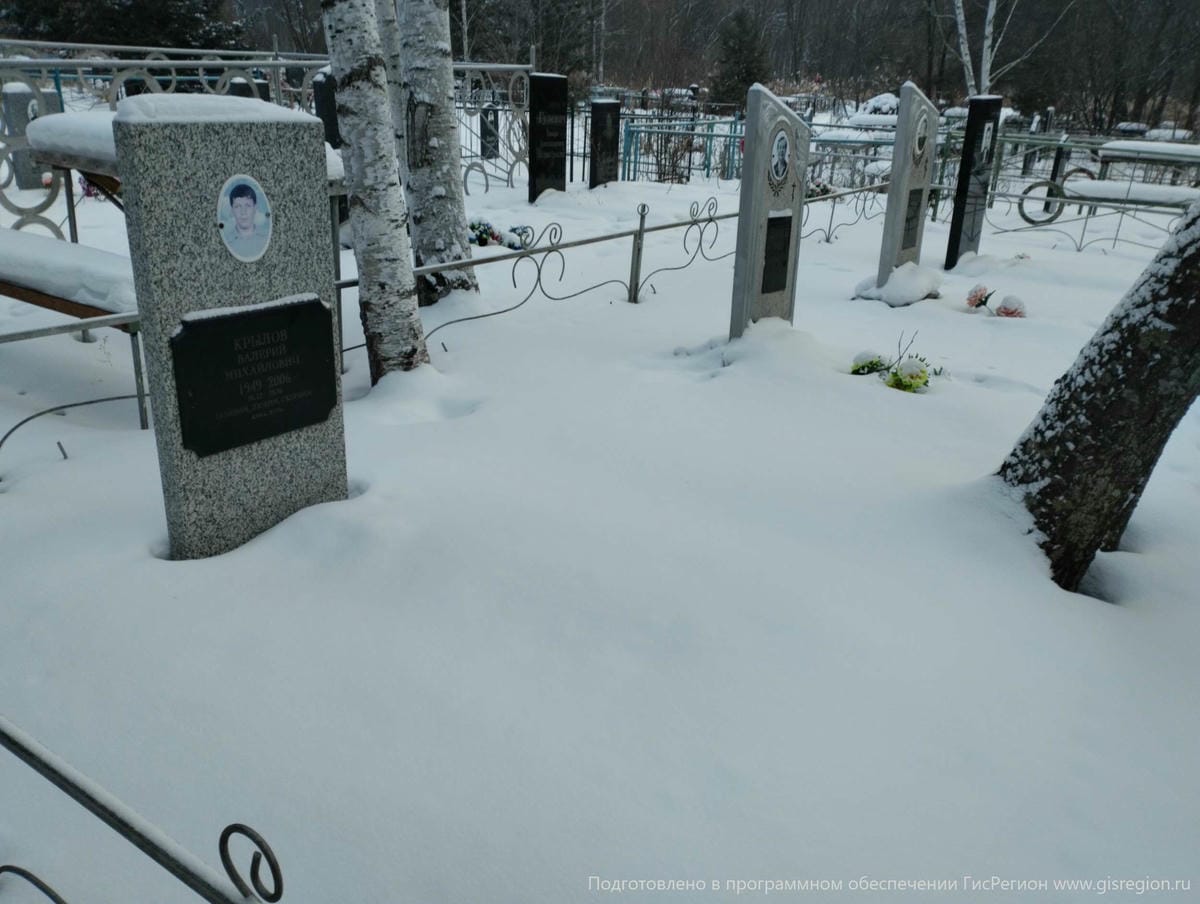 Дзюндзя Илья Михайлович