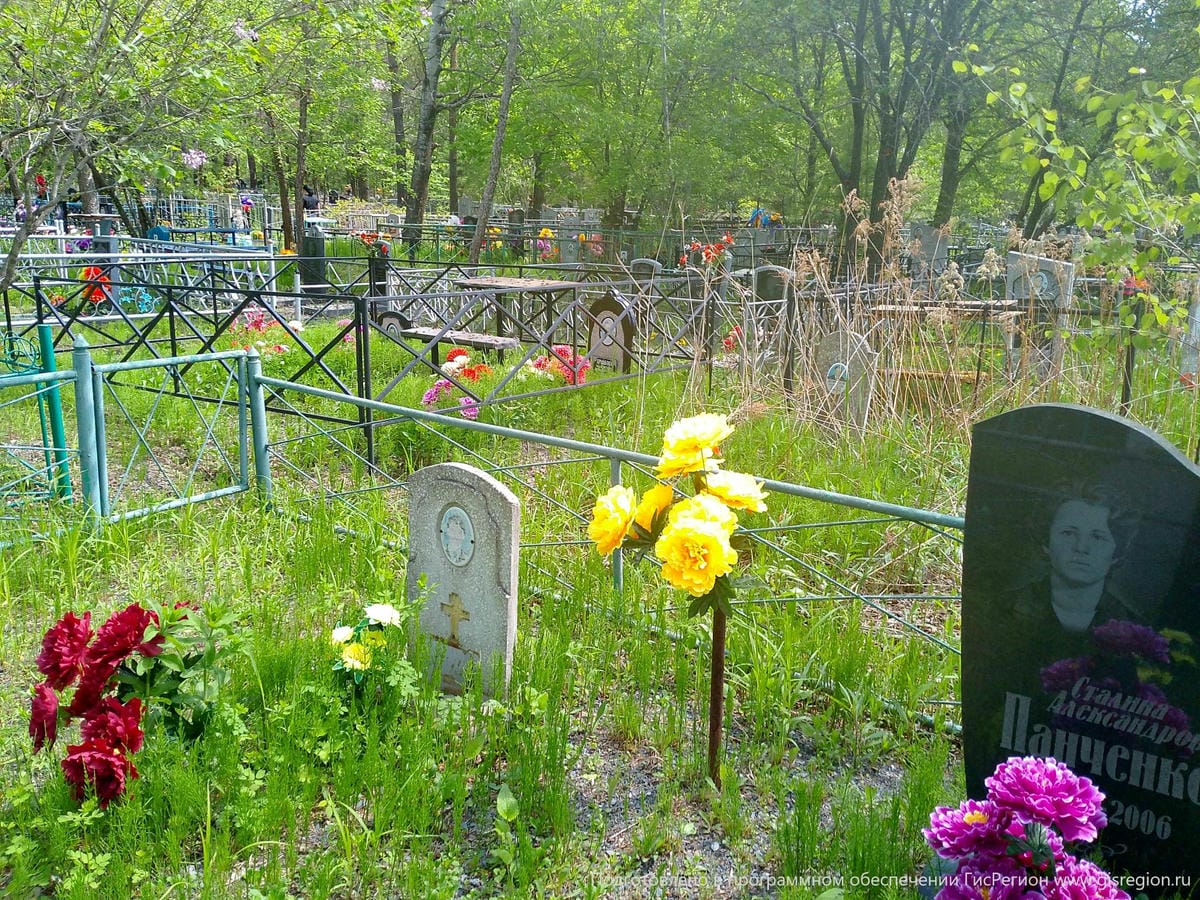 1d670d9d-3437-4817-bfa9-62251a484da3 Панченко Сталина Александровна