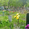 Панченко Юрий Михайлович