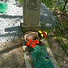 Шур Александо Егорович