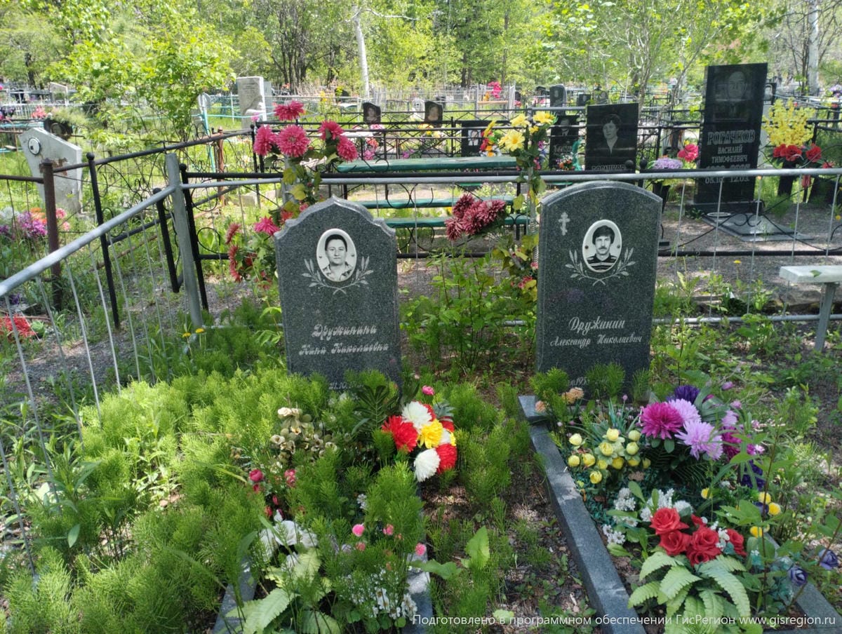 Дружинин Александр Николаевич