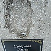 Суворова Анна Аркадьевна