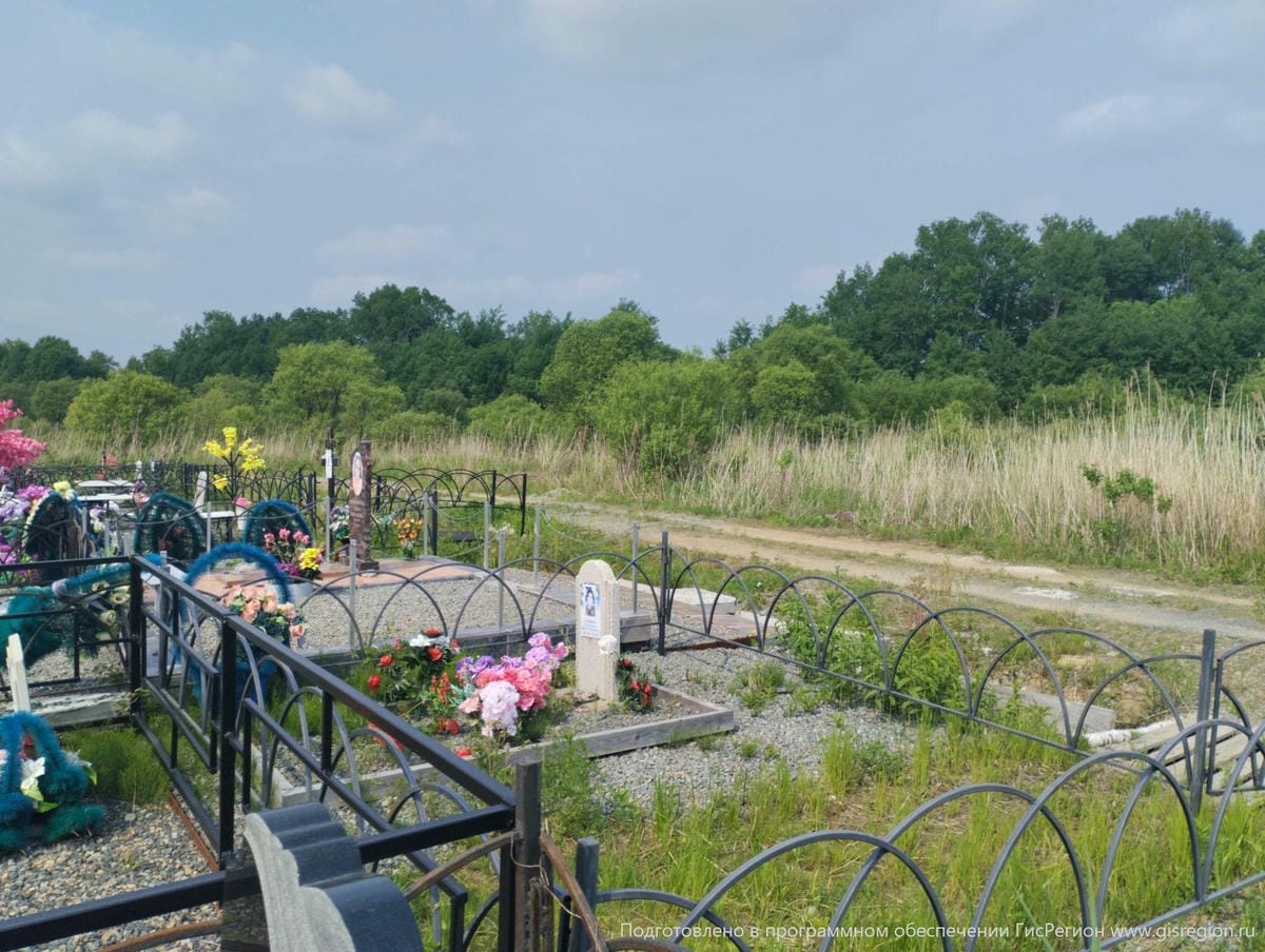 Стешина Светлана Вильгельмовна