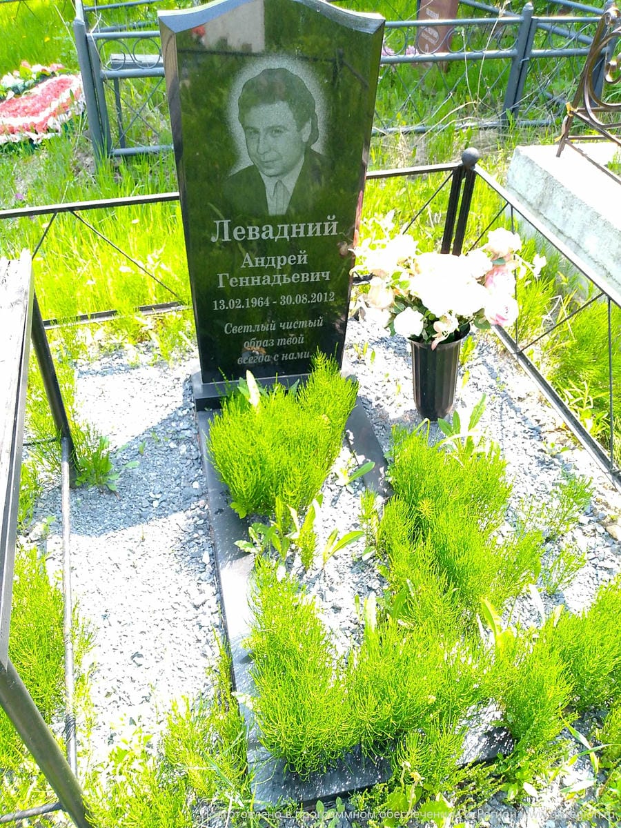 Левадний Андрей Геннадьевич