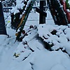 Дмитриева Светлага Николаевна