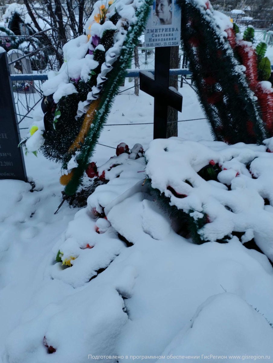 Дмитриева Светлага Николаевна