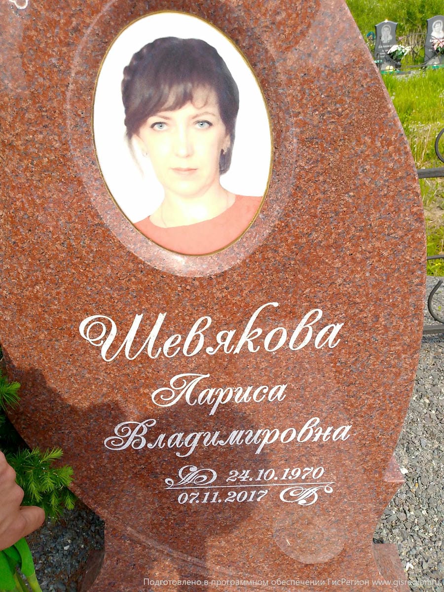 1f289391-28ae-45c7-a30a-7d7db2a5521b Шевякова Лариса Владимиронва