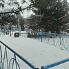 Дюжий Николай Николаевич