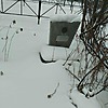 Неизвестно Валентина Матвеевна