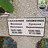 Скаженюк Василий Иванович