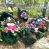Драйлинг Роман Александрович