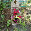 Папушина Елена Александровна
