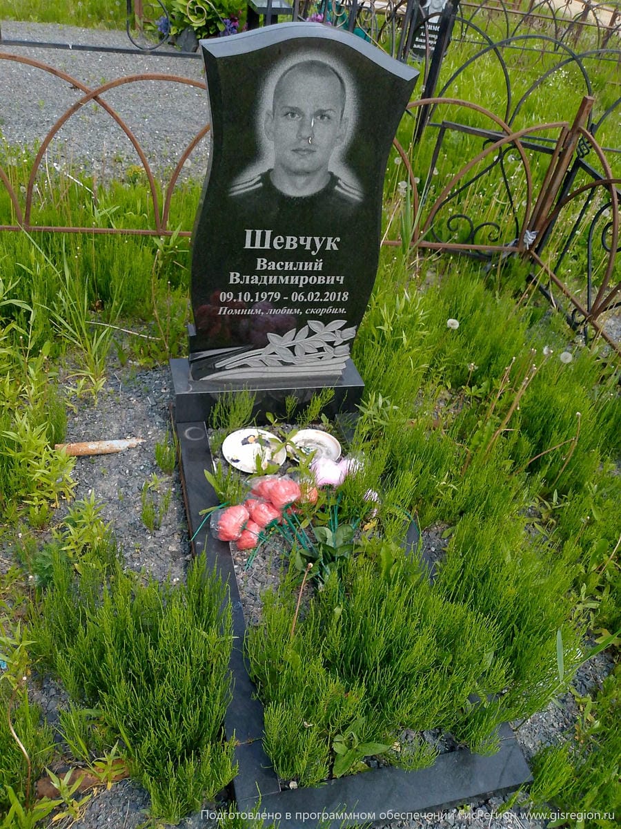 23a28fb4-ca71-459e-be98-0af26a3fdf9d Шевчук Василий Владимирович