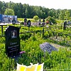 Савиных Виталий Геннадьевич
