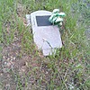 Бутков Юрий Васильевич